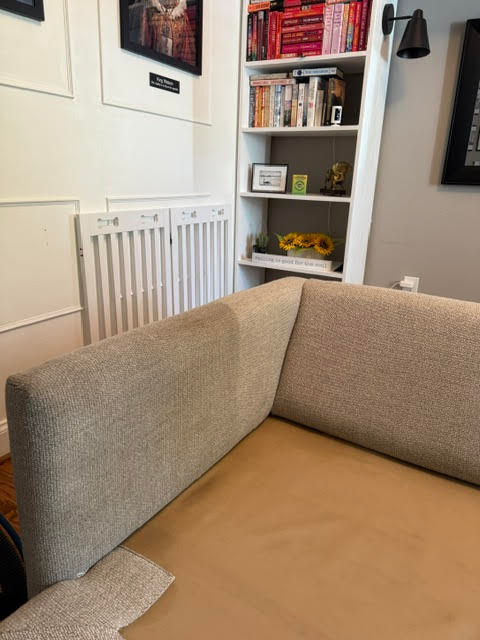 Pet stain upholstery cleaning Cornelius NC