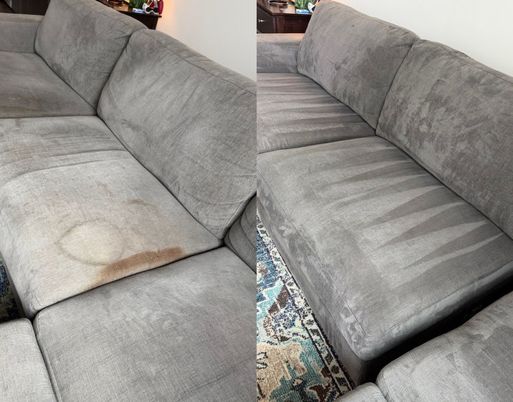 couch cleaning in Charlotte, NC