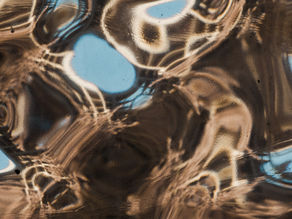 London Tigers Pop-up