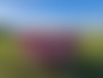 December 2025 Update