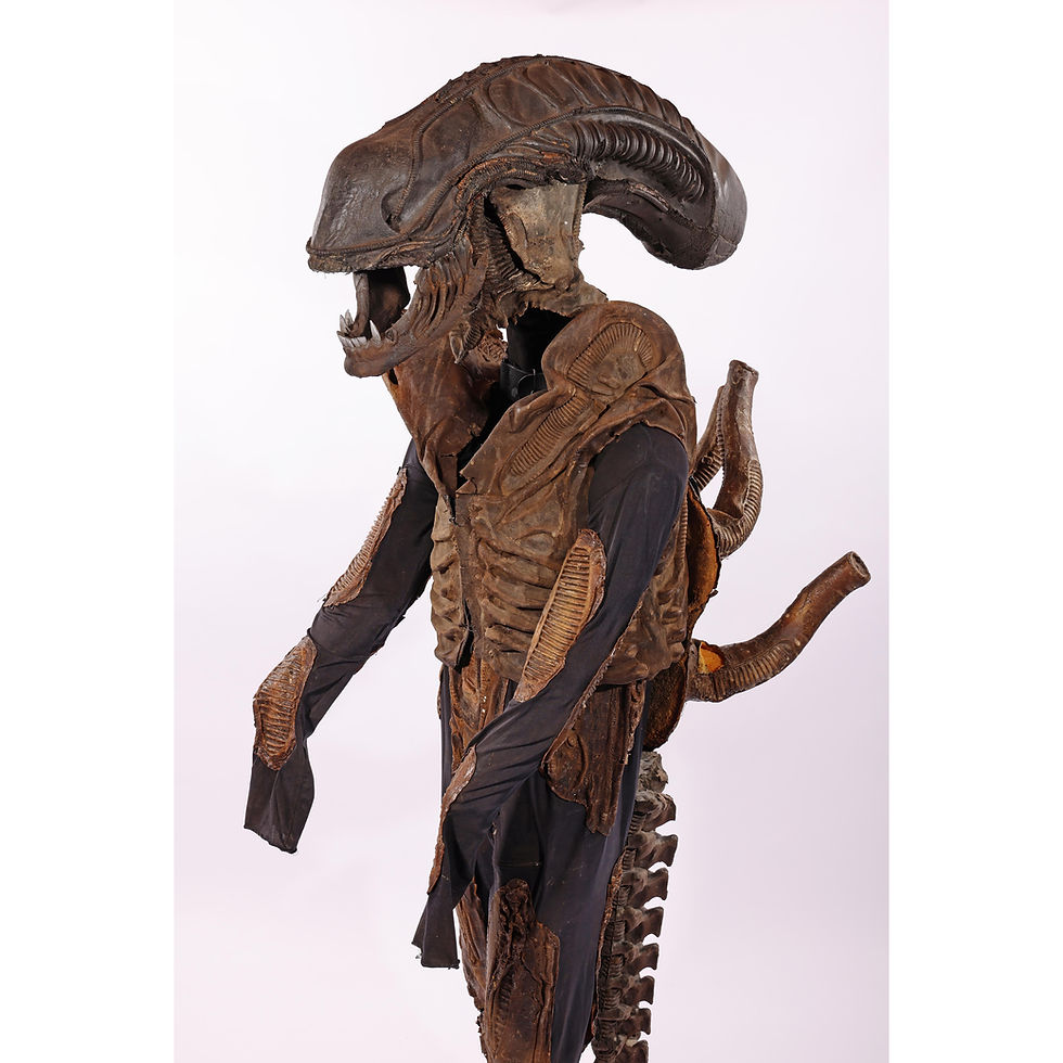 Thumbnail: Alien War (1993-96) Alien Warrior Costume