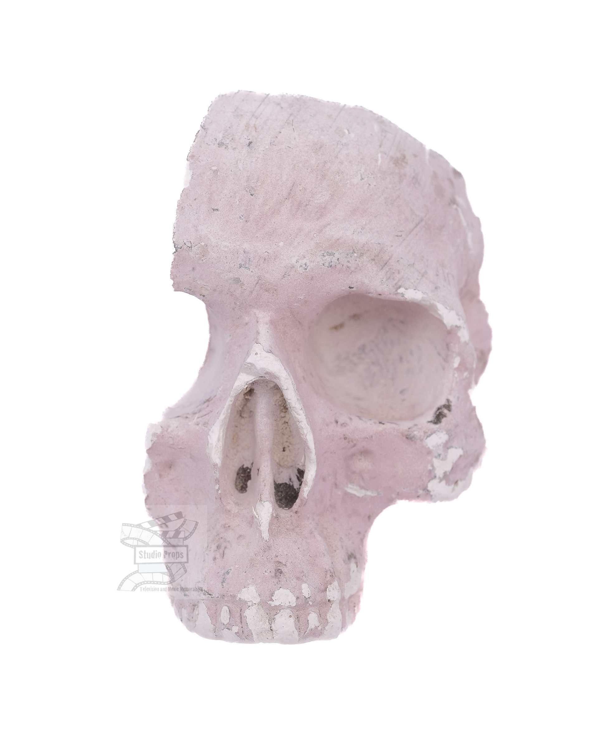 Doctor Who: Smile (2017) Original BBC Half Skull