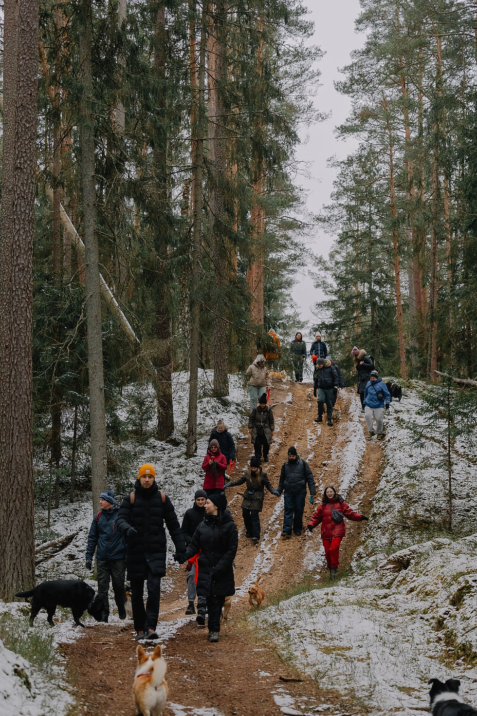 Прогулка по природной тропе. Kausu ezers
