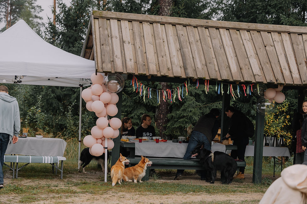 Peace.dogs dzimšanas diena