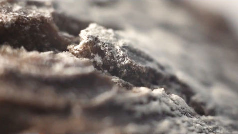 A D V E N T U R E
T I M E

b i l d g e s t a l t u n g