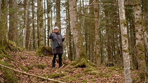 E L F I   A I C H I N G E R