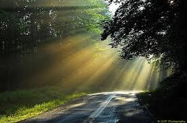 FINDING MEANING IN UNCERTAINTY