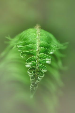 GHP_4218 copy copy.jpg