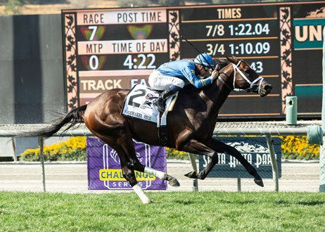 Smooth Like Strait Conformation 2 (1).jpg