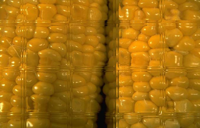 December 2025 Distribution Schedule