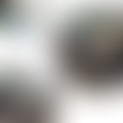 本日の親子の絆が深まる子育て講座