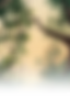 1234 1.png