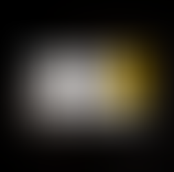 2025 Year-End Review