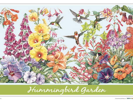 Buy 1 get 1 posters free through July 4th