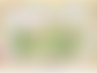 Native Wildflowers poster 28 natives $2.99 ea per 100