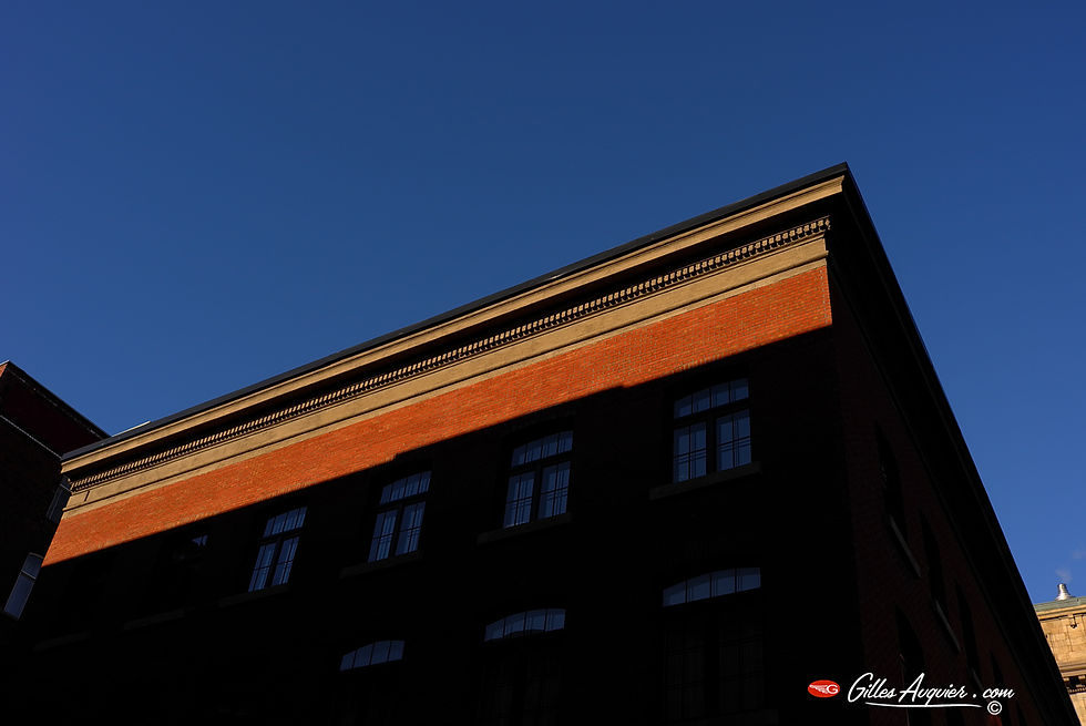 L1171858c©gillesAUQUIER.jpg