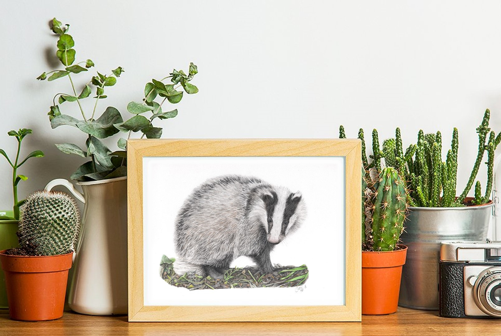 Badger Limited Edition A4 Print