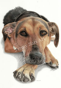 2025 c. Maddie 91_edited.jpg