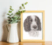 A4 - Springer Spaniel Print