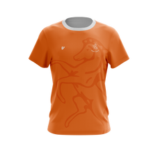 Orange Concept.png