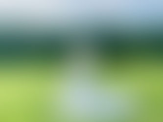 charlotte, nc wedding content creator