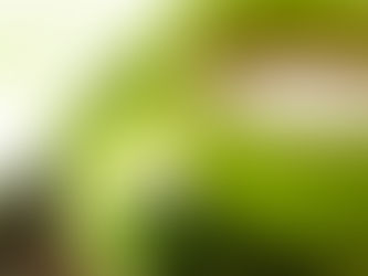 Πράσινο τσάι το πρωί: Τα οφέλη από την καθημερινή κατανάλωση