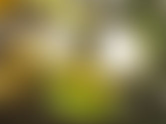 Ελληνικό Παρατηρητήριο Οξειδωτικού Στρες: Τα οφέλη της μεσογειακής διατροφής