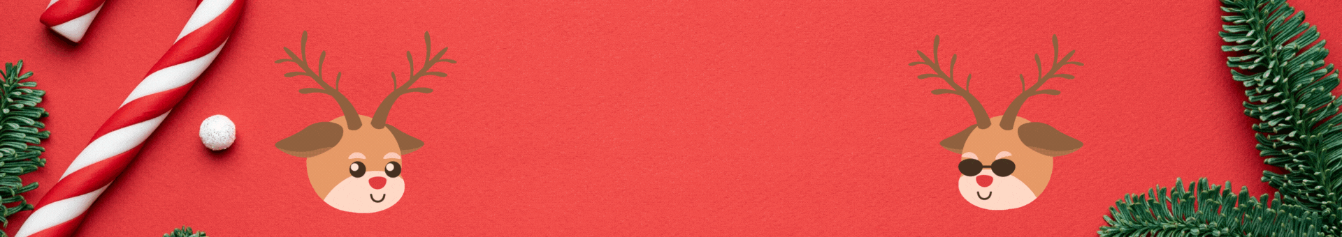 731e74f6-8cc3-4912-8d02-c11d524fd930