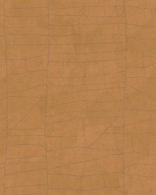 texamhome-cc210-cinetic-ethnicframes-g.j