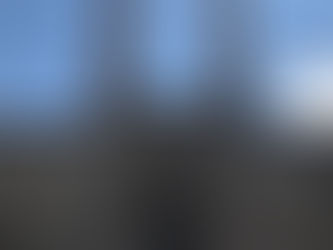 Puşkin'in göremediği