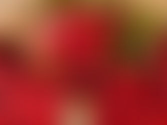 Kızılcıklar oldu mu?