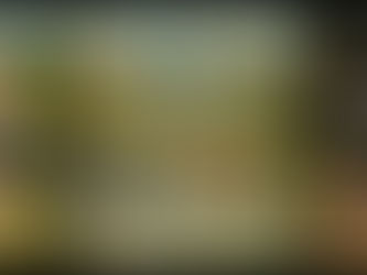 Tarihin en büyük hayal ressamı