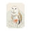 Thumbnail: The Magnificent Owl - Postcards (1, 15, 30, and 45 pcs)