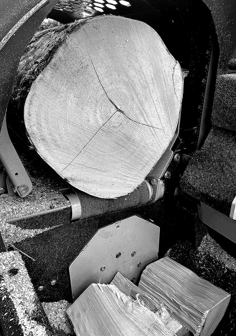 Close-up of a kiln-dried hardwood log