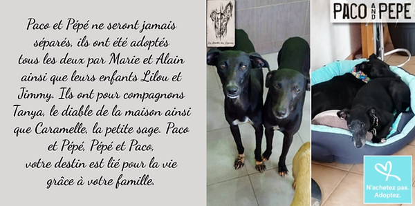 Visuel Paco et Pepe.png