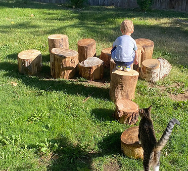 Play Stumps - Louisville, CO.jpg