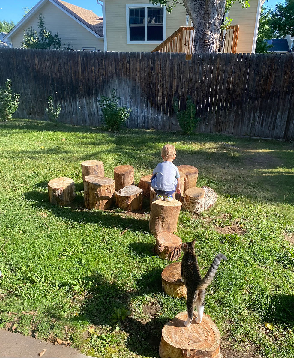 Play Stumps