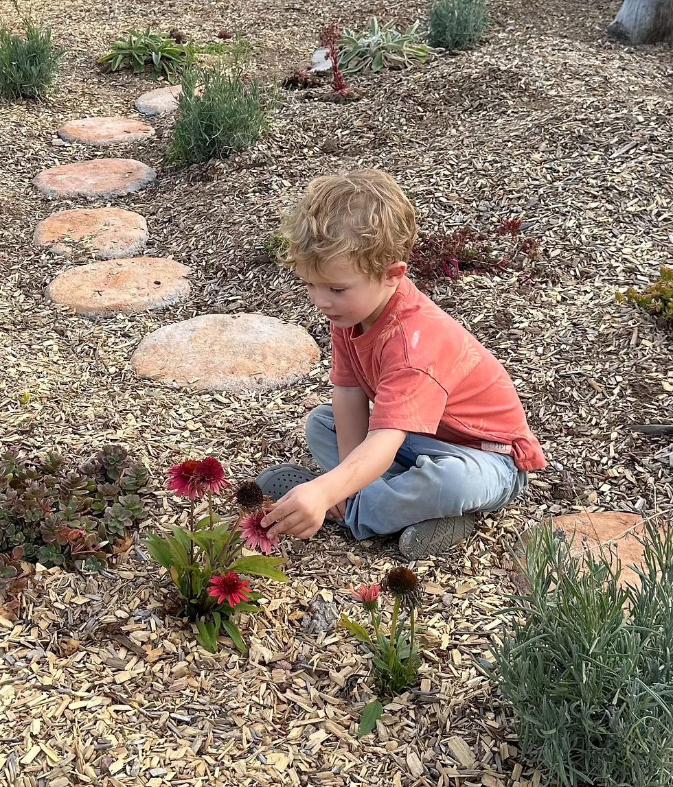 Sensory Garden + Path - Preschool in Lafayette, CO