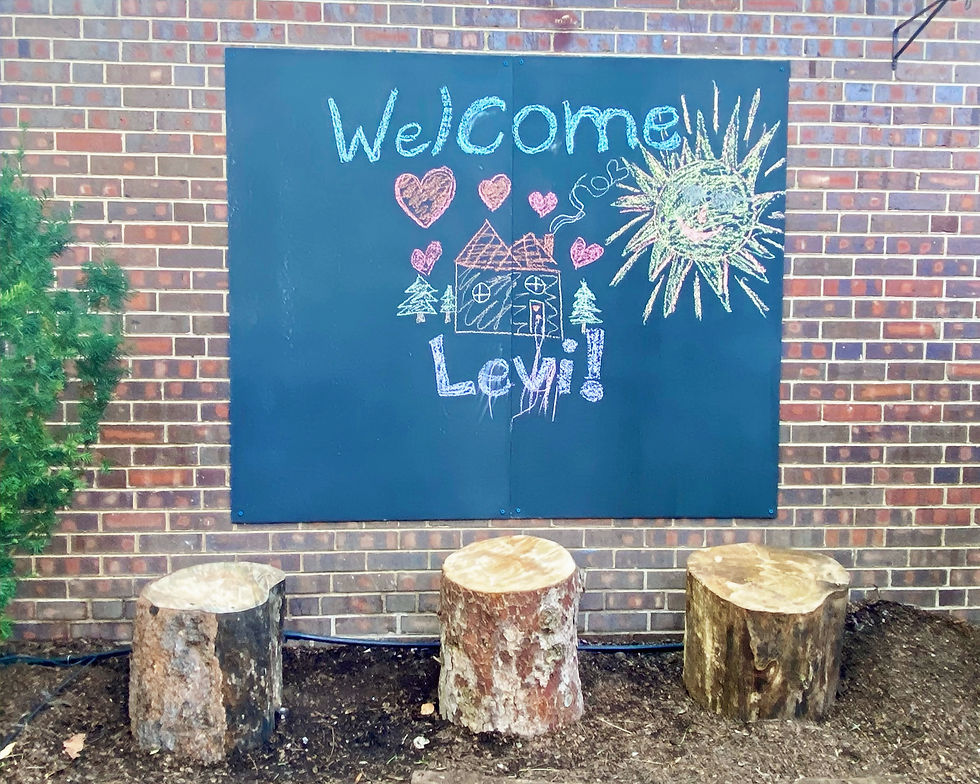 Chalkboard + Installed Stumps