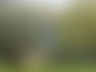 The Art of Surrendering