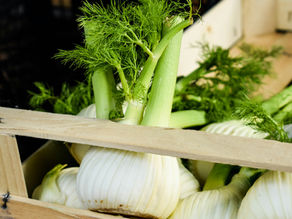 Fennel in crate