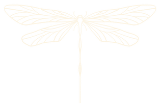 dragonfly only.png
