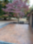 image000007.jpeg