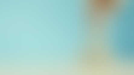 Social Security with the SVS - Types of Contributions & Adjustment