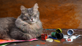 How to start as a self-employed artist in Austria?