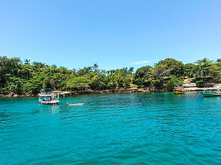 IMG_20241111_122938_edited_edited.jpg