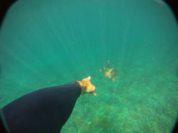 IMG-20160110-WA0008