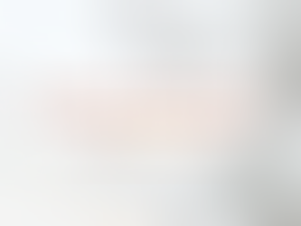 What is Word-Insight?