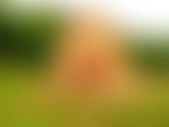 Oviedo, final a todo trapo entre el Naranco y la leyenda.