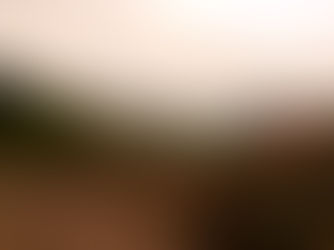 Primero lo primero...la promesa cumplida, visita a Covadonga.